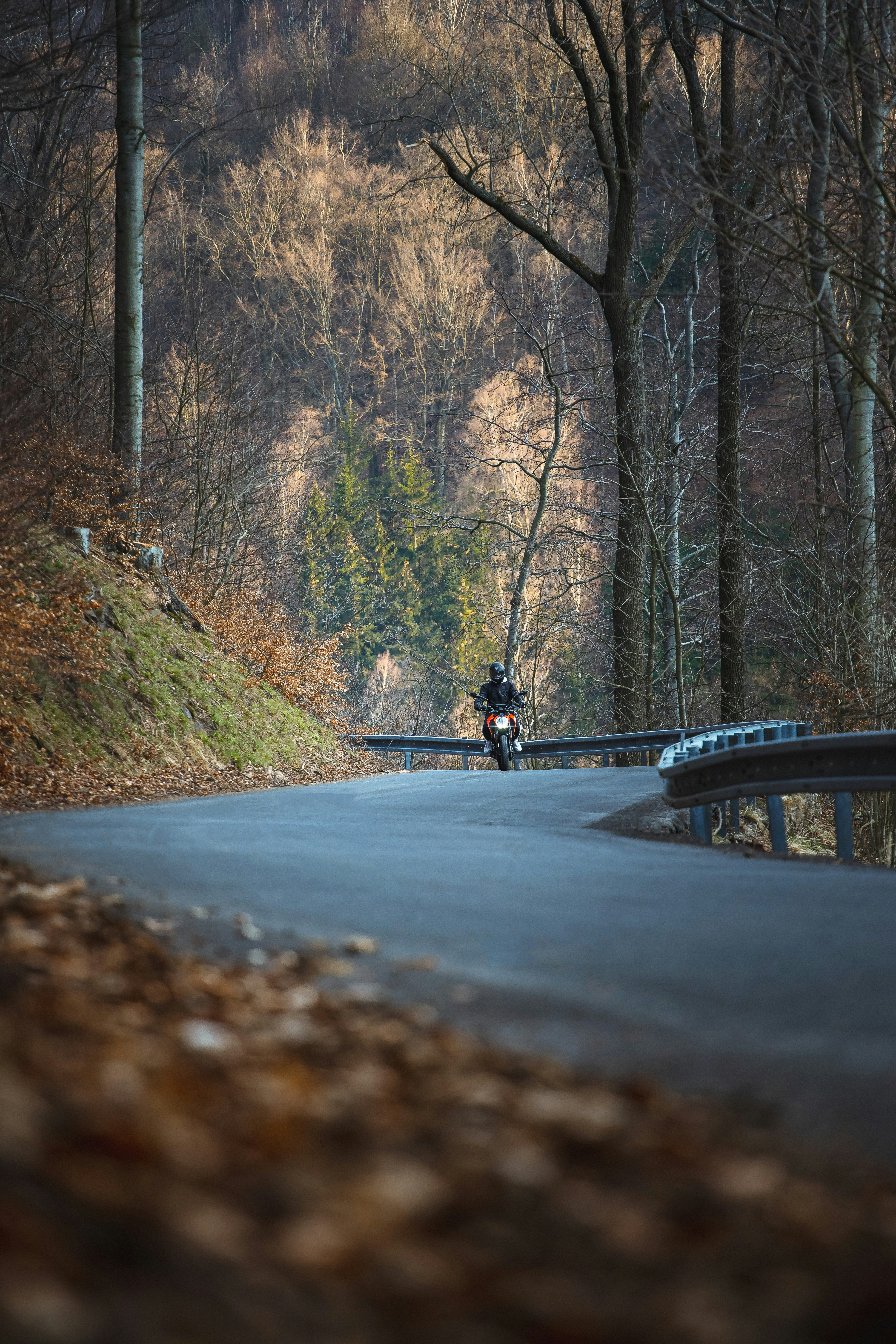 man riding bicycle on road during daytime